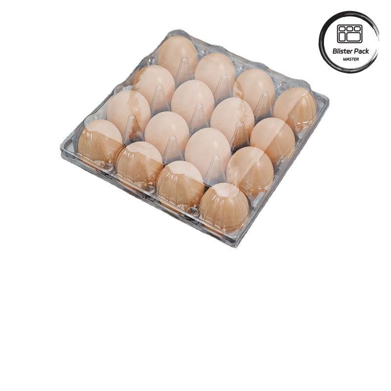 20/24/30 الخلية بي تي شفاف البلاستيك البيض بثرة الوعاء القابل لإستخدام مرة واحدة البيض الدجاج البيض البلطجية مع غطاء